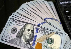 قیمت ظهرگاهی دلار در بازار تهران امروز 11 تیر / دلار دوباره داغ شد