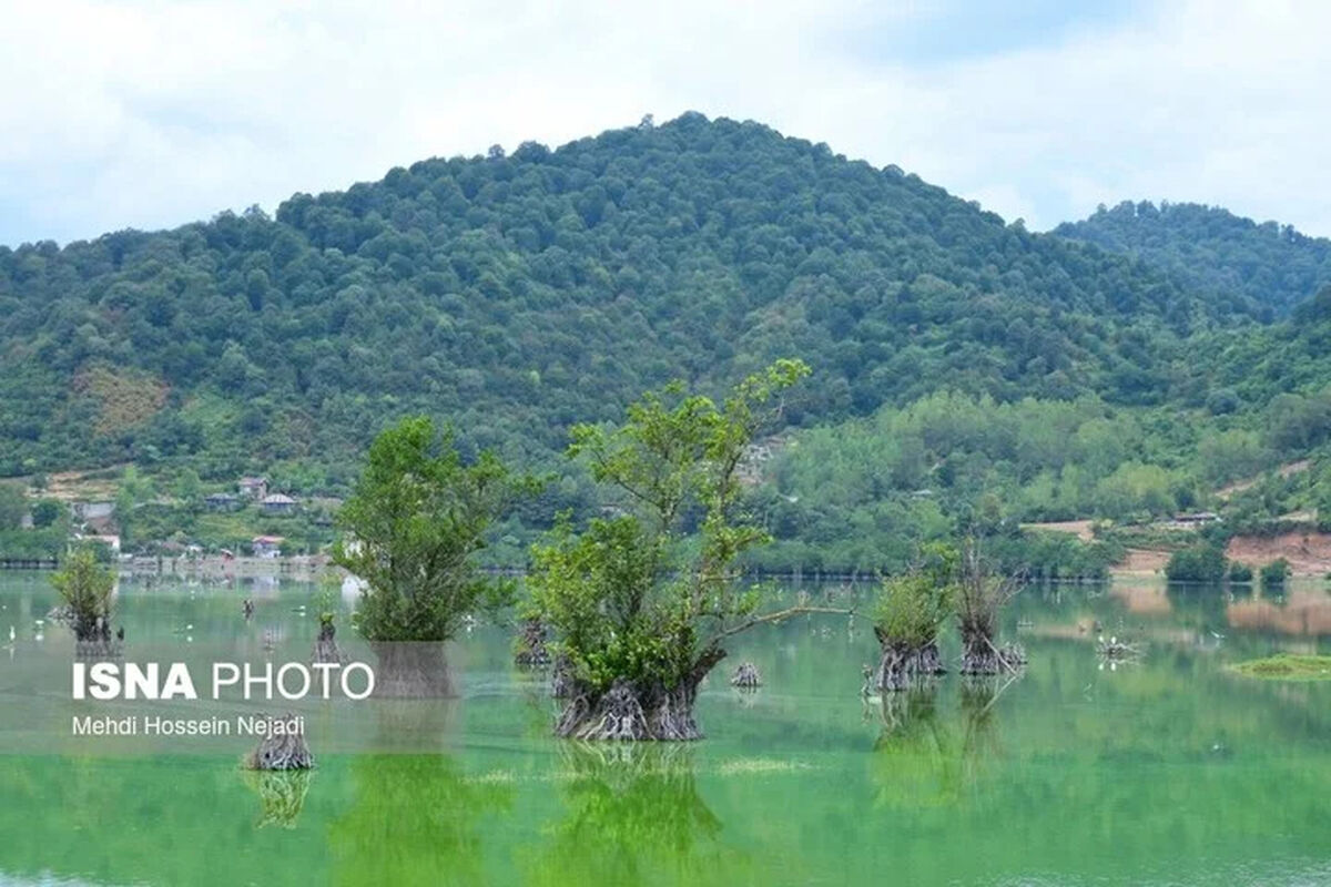 ۲۲ تالاب کشور سنددار شدند