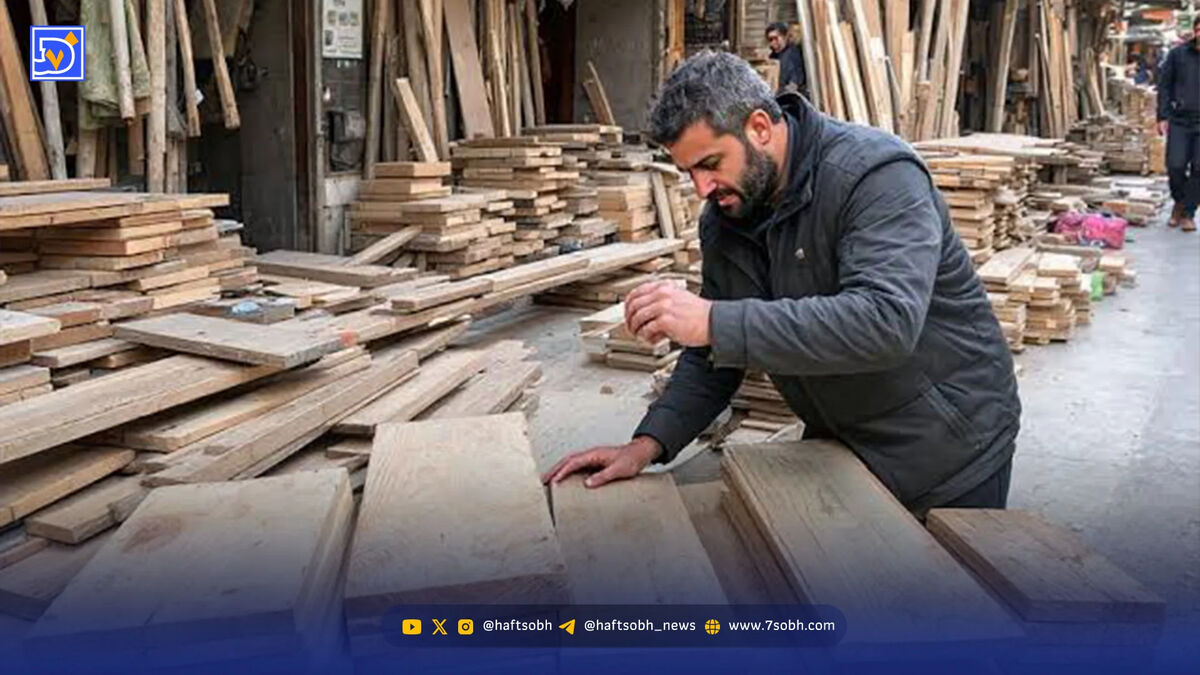 نجارها چوب گرانی را می‌خورند