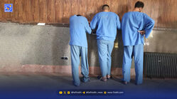 سرقت چهار رفیق کشتی‌گیر از خانه خانم فوتسالیست