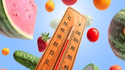 چرا هرگز نباید آیفون داغ را در یخچال یا فریزر قرار دهیم؟