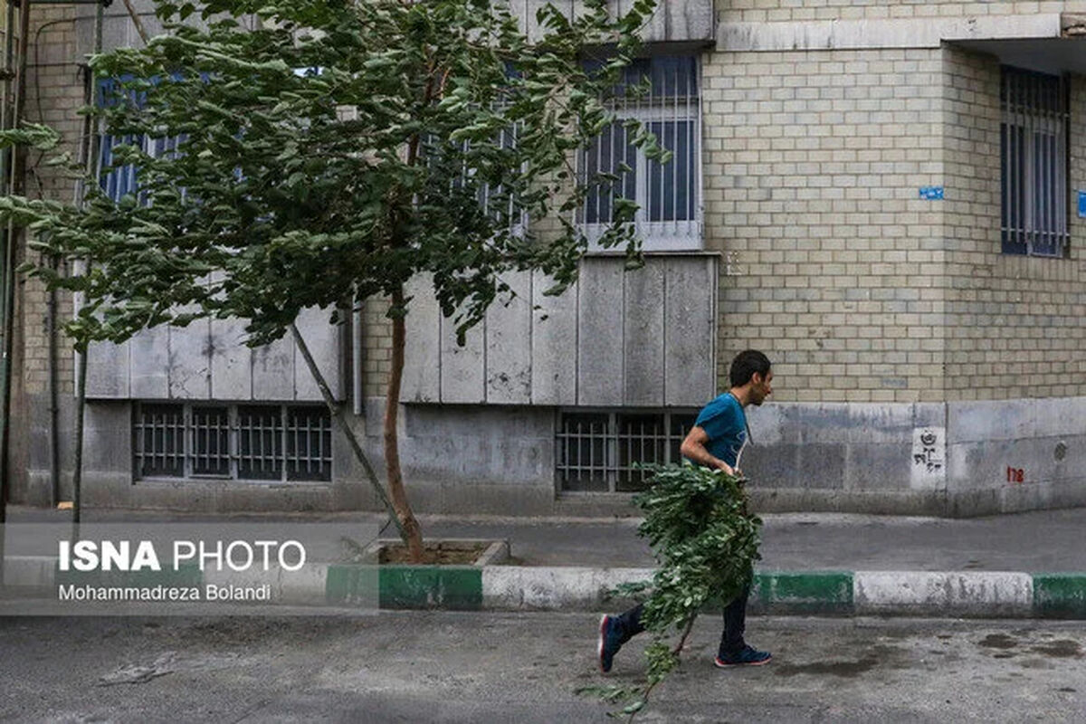هشدار افزایش وزش باد در تهران