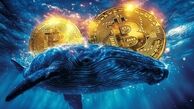 انتقال بیش از ۱ میلیارد دلار بیت‌کوین از سوی نهنگ قدیمی؛ آیا بازار در آستانه اصلاح است؟