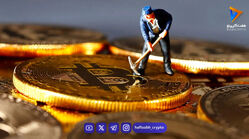 تابستان داغ برای ماینرها؛ صنعت استخراج بیت کوین وارد روزهای سخت شد