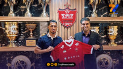 رسمی؛ علی علیپور با پرسپولیس تمدید کرد