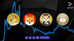 میم سیزن چیست و چرا میم کوین‌ها ناگهان سر زبان‌ها می‌افتند؟