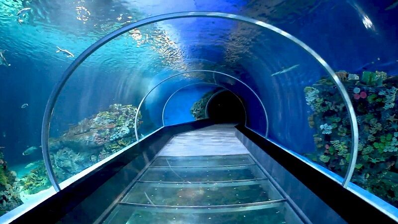آکواریوم انزلی از جاهای دیدنی گیلان 