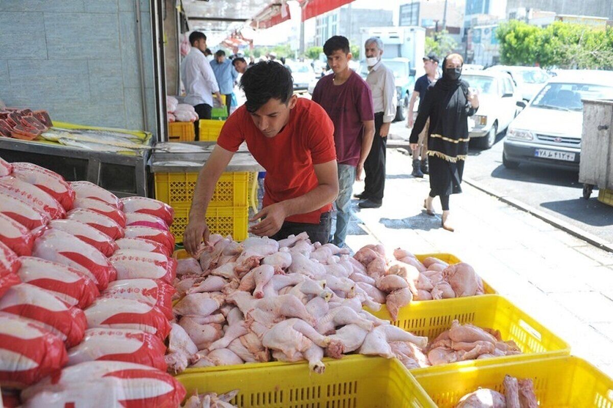 قیمت کالاهای اساسی خانوار: مرغ، تخم مرغ و انواع میوه چند؟ 