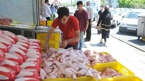 قیمت کالاهای اساسی خانوار: مرغ، تخم مرغ و انواع میوه چند؟ 
